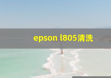 epson l805清洗